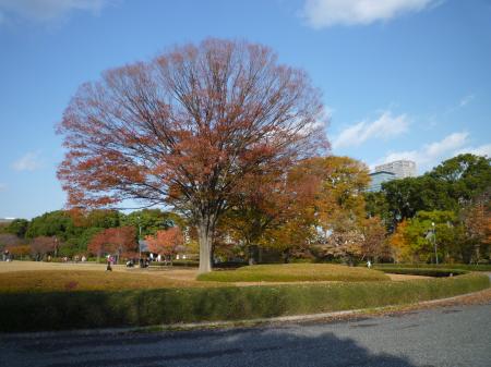 Autumn Scene at Imperial Palace
