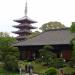 The Garden in the Asakusa Temple