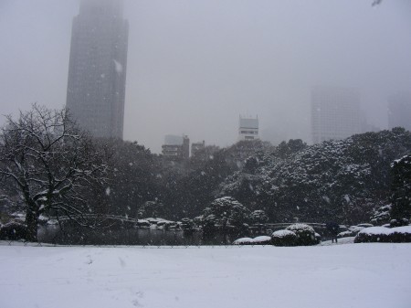 Heavy snowing on Japanese garden